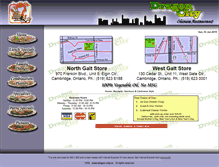 Tablet Screenshot of dragon-city.ca